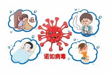 甲流諾如接伴而來 科學(xué)預(yù)防 無(wú)需恐慌